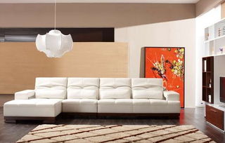 江門(mén)健威家居 匠心品質(zhì)點(diǎn)亮西江明珠，一站式家居方案引領(lǐng)肇慶新生活